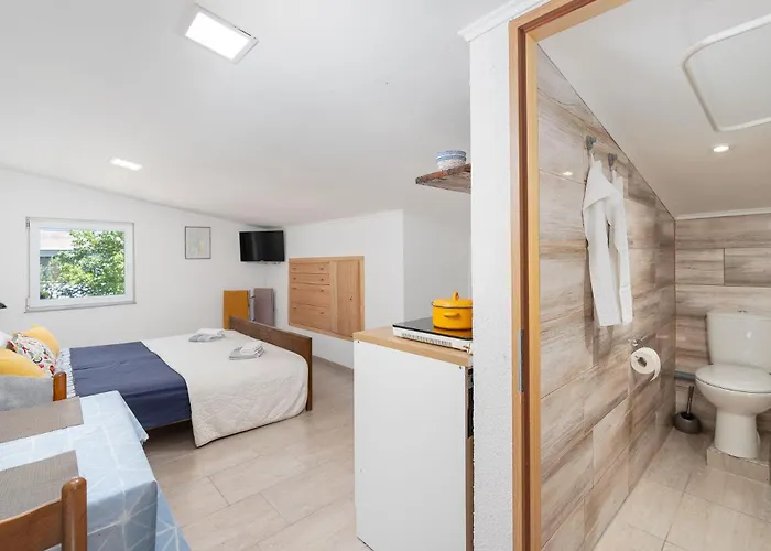 Tom * Starigrad Paklenica